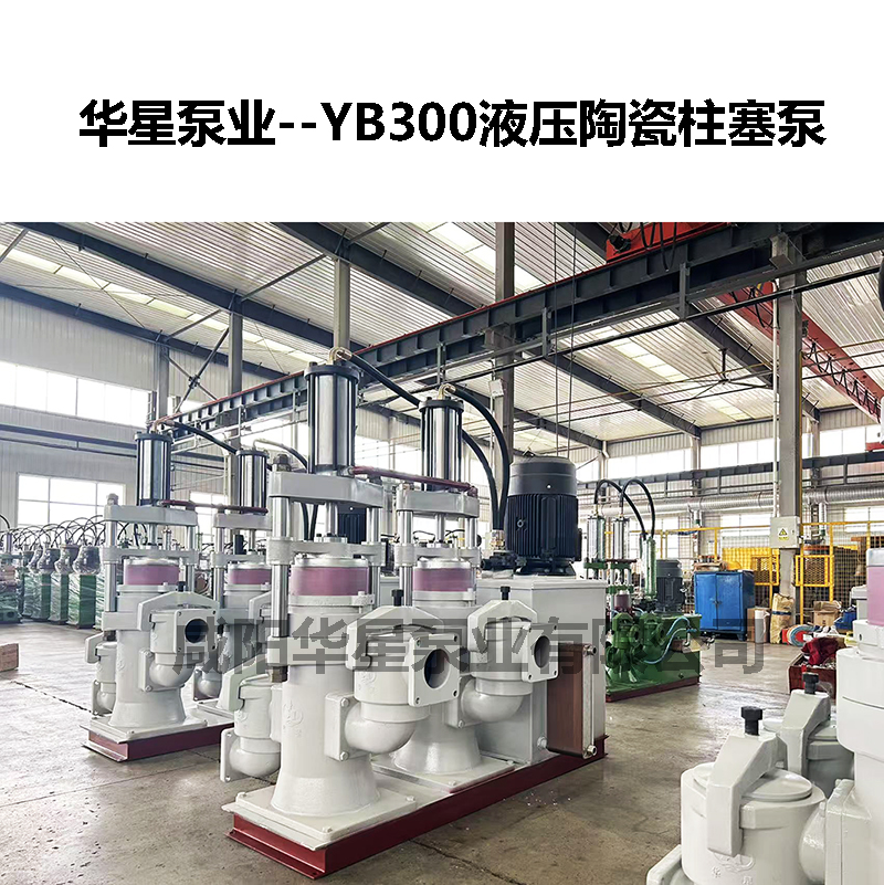 YB300液壓陶瓷柱塞泵-02 YB300液壓陶瓷柱塞泵-02
