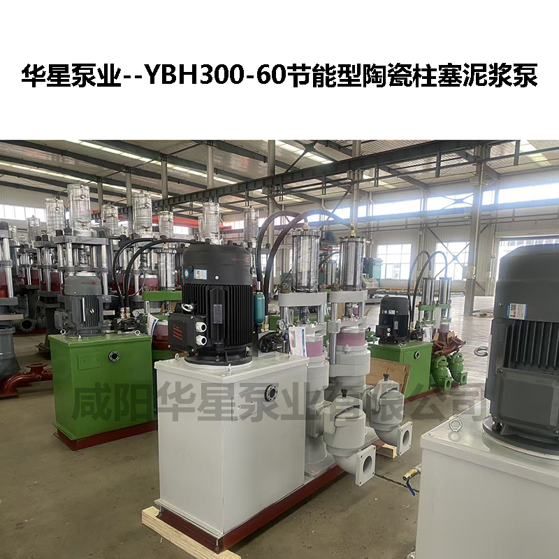 YBH300-60液壓陶瓷柱塞泵-05 YBH300-60液壓陶瓷柱塞泵-05