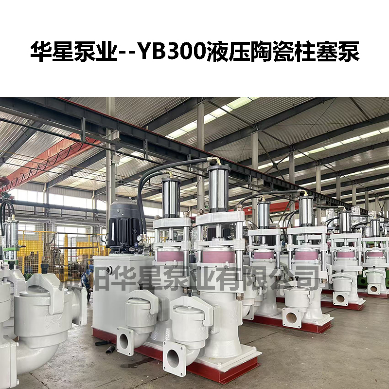 YB300液壓陶瓷柱塞泵-03 YB300液壓陶瓷柱塞泵-03